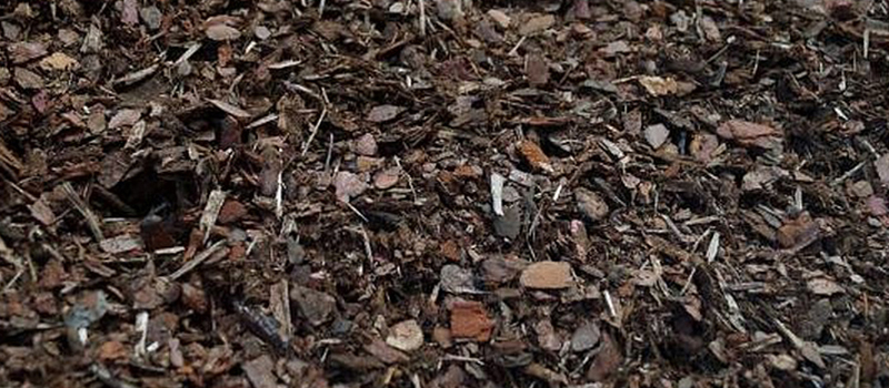 Rindenmulch grob
